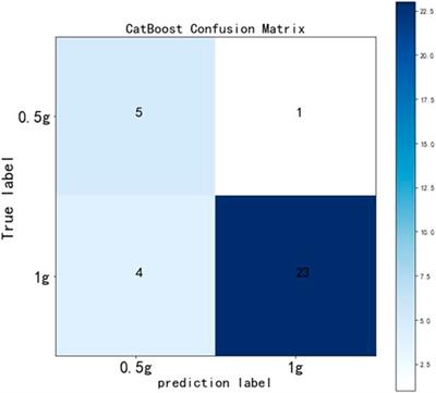 An individualized medication model of sodium valproate for patients with bipolar disorder based on machine learning and deep learning techniques